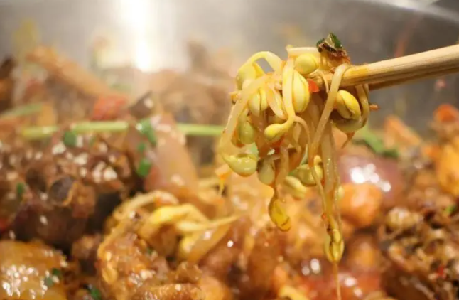 绿豆芽烧鸡